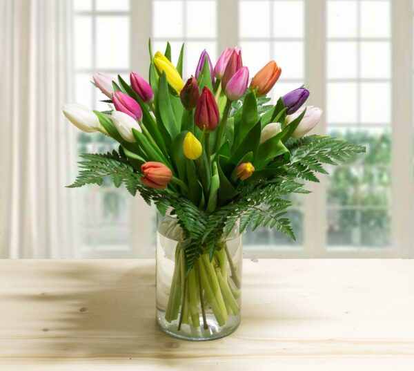 Tulipani colorati