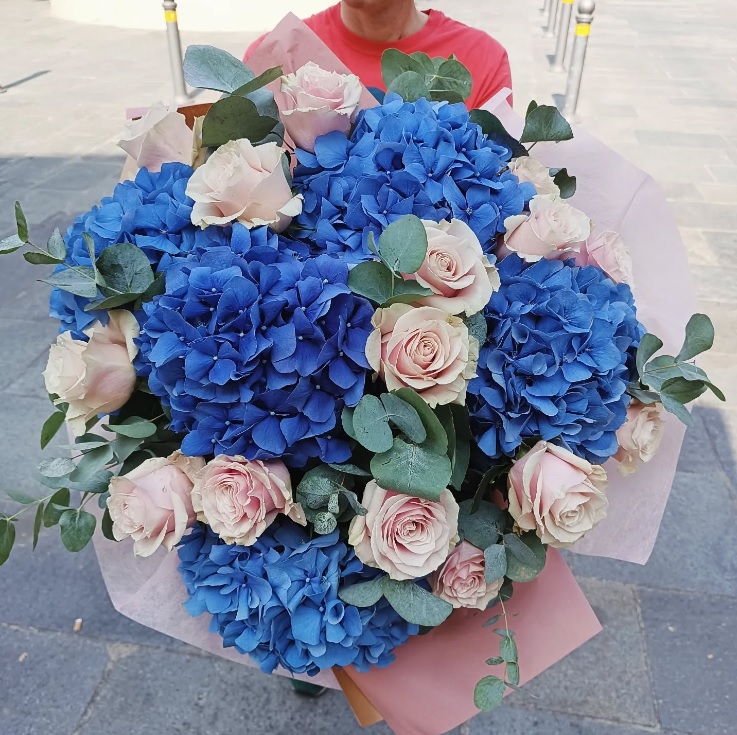 Ortensie blu