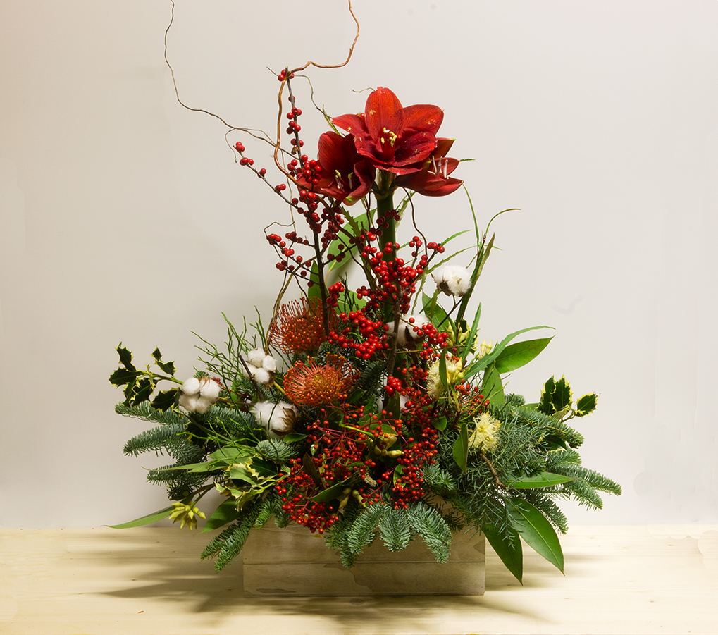 Centrotavola Christmas Deluxe in cassetta di legno con Amaryllis rossi, bacche, cotone naturale, abete e Protea esotica.