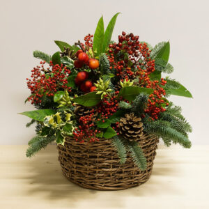 Incanto Natalizio; composizione con rose rosse, agrifoglio, bacche e pino in cestino tondo bianco.