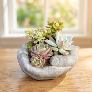 Fotografia in luce naturale di una composizione di piante succulente miste (varietà di Echeveria rosate e verdi, Sedum e Crassula) piantate all'interno di un vaso scultoreo grigio a forma di mani giunte. Il vaso è posizionato su una superficie bianca pulita e luminosa, con uno sfondo sfocato di una finestra.